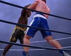 Ultimate Boxing Game 512x340 1